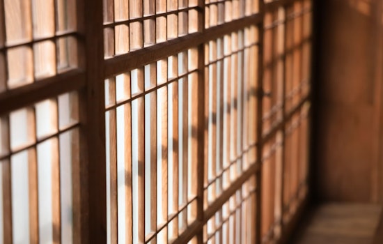 Canadian Dark Web Kingpin Slapped with 30-Year Sentence Over Multi-Million Dollar Counterfeit Xanax Empire
