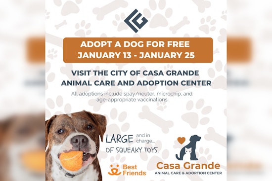 Casa Grande Hosts Free Dog Adoption Event to Ease Shelter Overcrowding