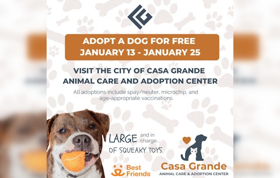 Casa Grande Hosts Free Dog Adoption Event to Ease Shelter Overcrowding
