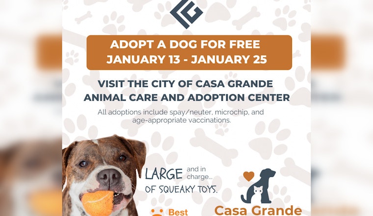 Casa Grande Hosts Free Dog Adoption Event to Ease Shelter Overcrowding
