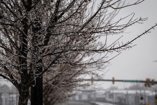 Charlotte Trash Collection Delayed Due to Snowfall as City Announces New Schedule