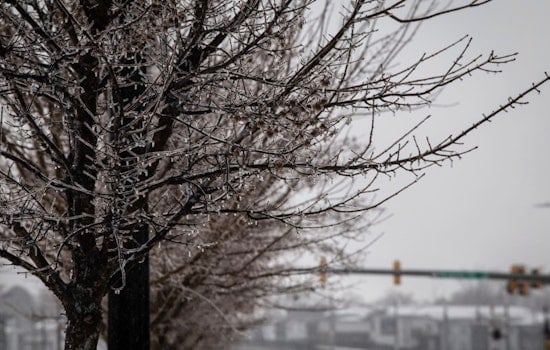 Charlotte Trash Collection Delayed Due to Snowfall as City Announces New Schedule