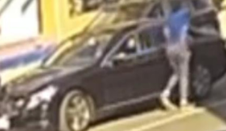 Chicago Police Issue Community Alert Following Fatal Hit-and-Run in West Town, Suspect Description Released