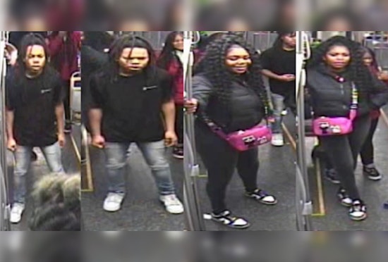Chicago Police Seek Assistance Identifying Suspects in Christmas Eve CTA Green Line Robbery and Stabbing