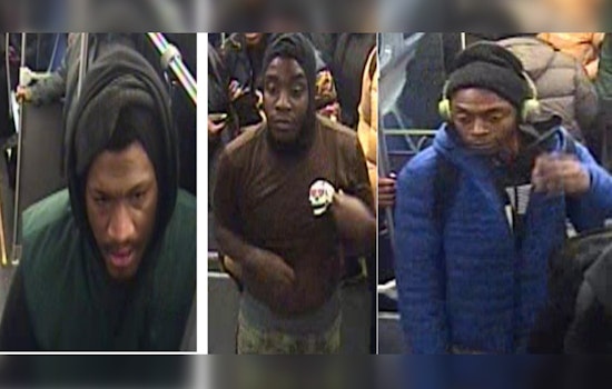 Chicago Police Seek Witnesses After Assault and Robbery on Englewood's 69th St. Train