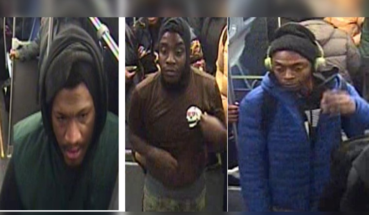 Chicago Police Seek Witnesses After Assault and Robbery on Englewood's 69th St. Train