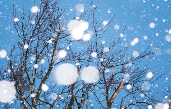 Tampa Bay Area Braces for Cold Snap with Advisory from National Weather Service