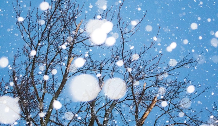 Tampa Bay Area Braces for Cold Snap with Advisory from National Weather Service