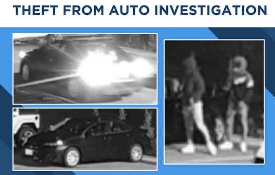 Cincinnati Police Seek Leads on Auto Theft Spree in Hamilton Avenue Area