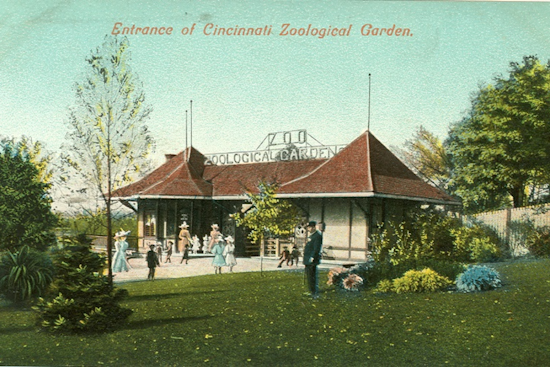 Cincinnati Zoo Marks 150 Years of Conservation and Community Connection with Year-Long Celebration