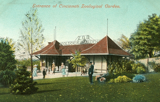 Cincinnati Zoo Marks 150 Years of Conservation and Community Connection with Year-Long Celebration