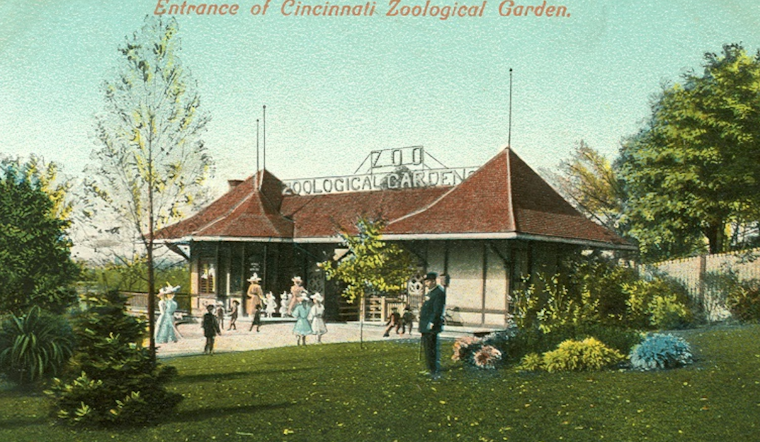 Cincinnati Zoo Marks 150 Years of Conservation and Community Connection with Year-Long Celebration