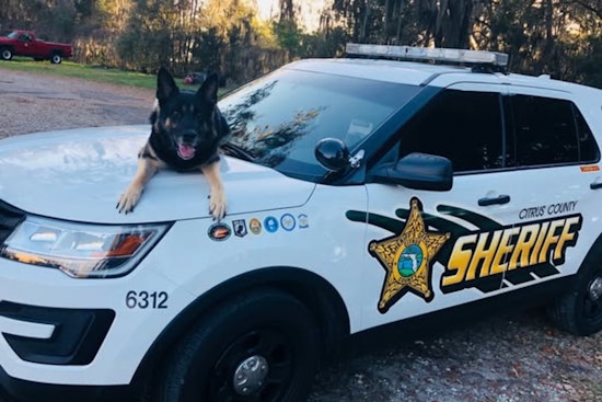 Citrus County Mourns the Loss of Heroic Retired K-9 Gunny: A Tribute to a Loyal Partner in Law Enforcement