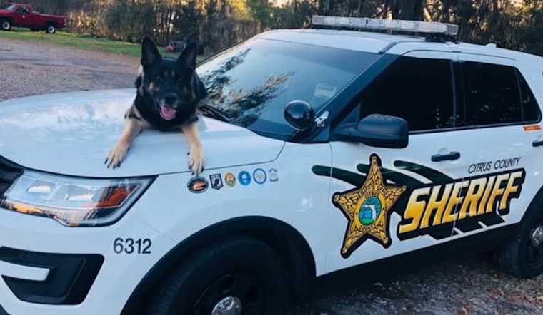 Citrus County Mourns the Loss of Heroic Retired K-9 Gunny: A Tribute to a Loyal Partner in Law Enforcement