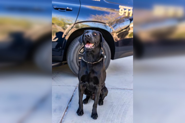 Clark County School District Police Officer Charged in Connection with K-9 Partner's Death