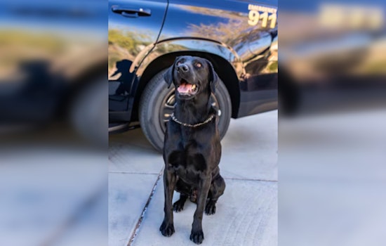 Clark County School District Police Officer Charged in Connection with K-9 Partner's Death