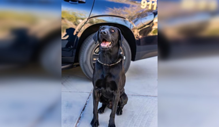 Clark County School District Police Officer Charged in Connection with K-9 Partner's Death