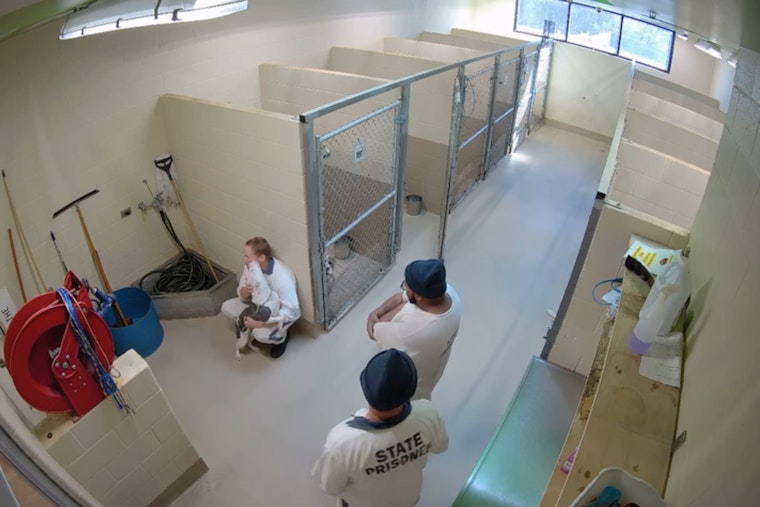 Clayton County Police Dismiss Animal Abuse Claims at Local Shelter as Misinterpretation of Viral Video