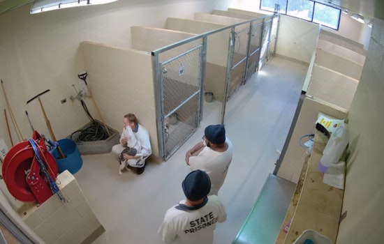 Clayton County Police Dismiss Animal Abuse Claims at Local Shelter as Misinterpretation of Viral Video