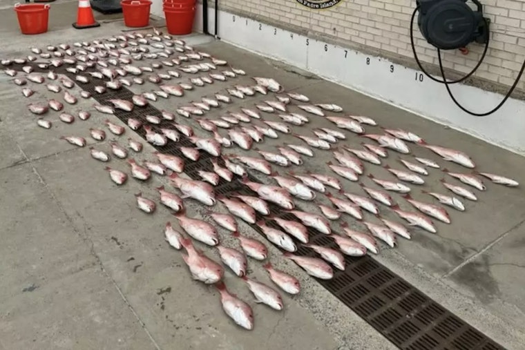 Coast Guard Detains Three, Seizes 200 Pounds of Illegally Caught Red Snapper Off Texas Coast