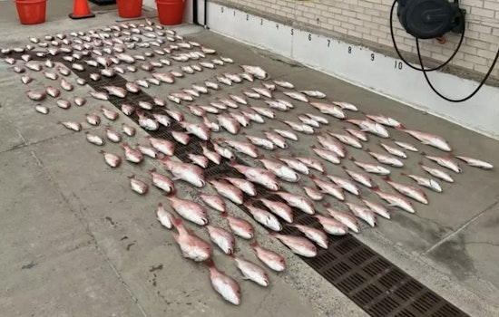 Coast Guard Detains Three, Seizes 200 Pounds of Illegally Caught Red Snapper Off Texas Coast