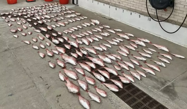 Coast Guard Detains Three, Seizes 200 Pounds of Illegally Caught Red Snapper Off Texas Coast