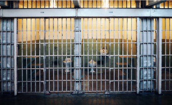 Columbia County Woman Imprisoned for Wire Fraud and Illegal Animal Drug Sales in Oregon