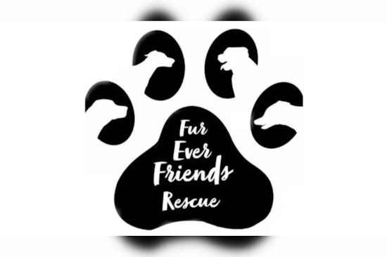 Community Rallies to Support Choctaw Animal Rescue After Devastating Fire Claims Lives of Pets