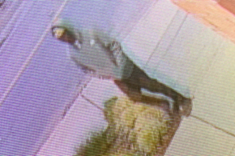 Community Shaken as 13-Year-Old Boy Stabbed in North Everett, Police Seek Suspect
