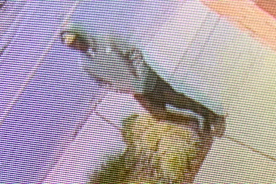 Community Shaken as 13-Year-Old Boy Stabbed in North Everett, Police Seek Suspect