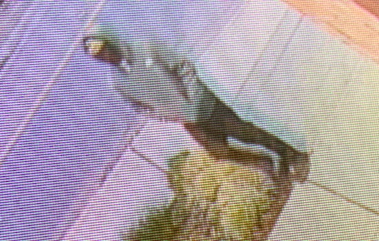 Community Shaken as 13-Year-Old Boy Stabbed in North Everett, Police Seek Suspect