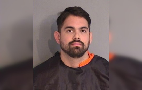 Coral Springs Man Charged with Animal Cruelty for Allegedly Abusing Puppy in Kissimmee