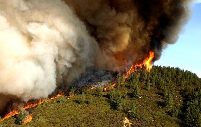 CSU Channel Islands Evacuated as 'Laguna Fire' Forces Response in Camarillo Amid Red Flag Warning