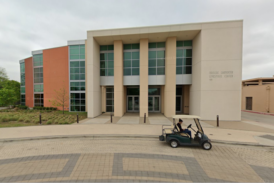 Dallas Enhances Focus on Equality with 6th Equity Indicators Symposium During MLK Week