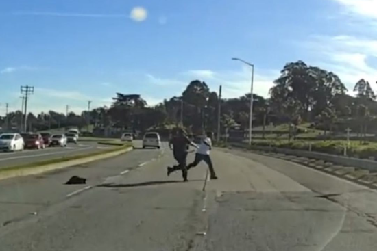 Daring Cemetery Chase Leads to Arrest of Two Suspected Thieves in Colma