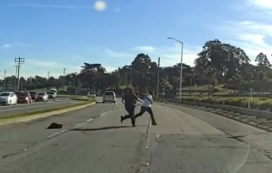 Daring Cemetery Chase Leads to Arrest of Two Suspected Thieves in Colma