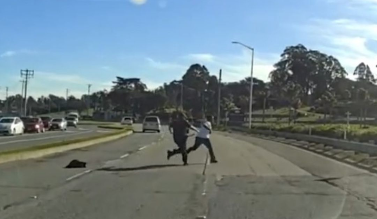 Daring Cemetery Chase Leads to Arrest of Two Suspected Thieves in Colma