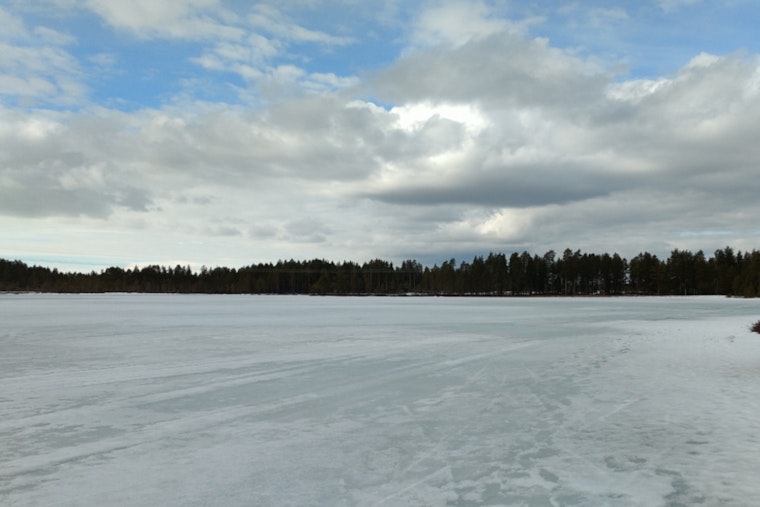 Daring Rescue at Grass Lake as Two Saved After Falling Through Ice in Jackson County