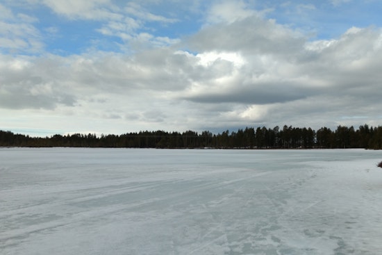 Daring Rescue at Grass Lake as Two Saved After Falling Through Ice in Jackson County