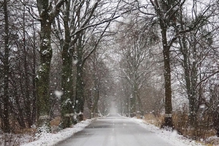 D.C. Area Braces for Winter Blast as Commuters Face Snow Showers and Travel Disruptions