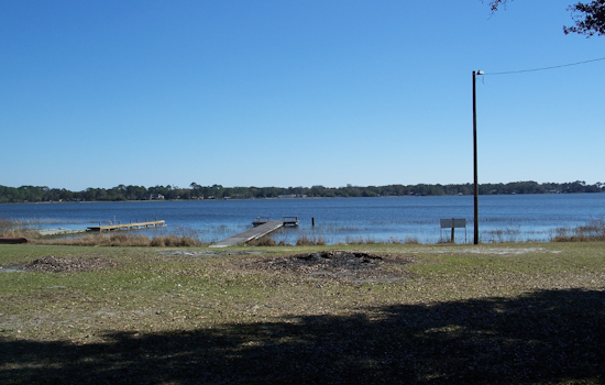 Dead Fish Mystery at Lake Eustis Spurs Florida Wildlife Officials into Action