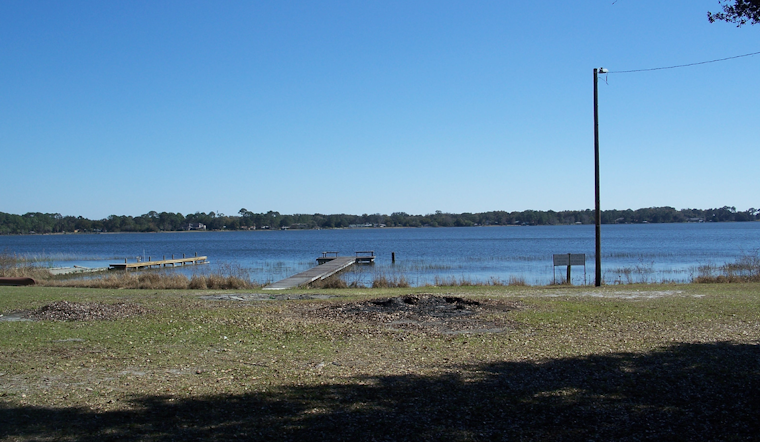 Dead Fish Mystery at Lake Eustis Spurs Florida Wildlife Officials into Action