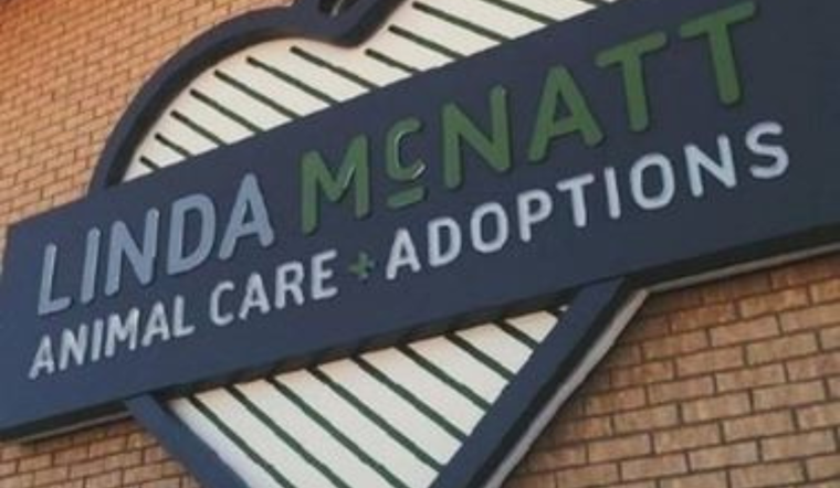 Denton City's Animal Services Audit Reveals High Live Release Rates Amidst Record-Keeping and Response Issues