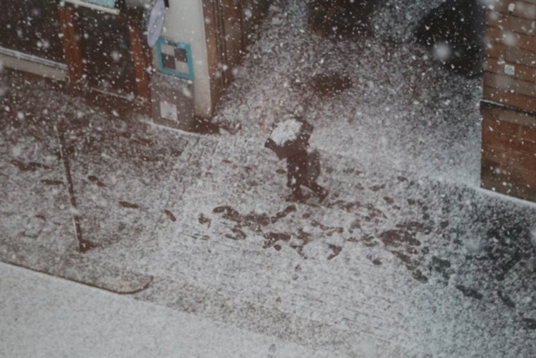 Detroit Braces for Snow Showers Blustery Winds and Frigid Temperatures Ahead