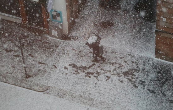Detroit Braces for Snow Showers Blustery Winds and Frigid Temperatures Ahead
