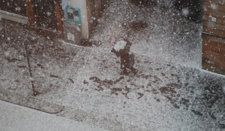 Detroit Braces for Snow Showers Blustery Winds and Frigid Temperatures Ahead