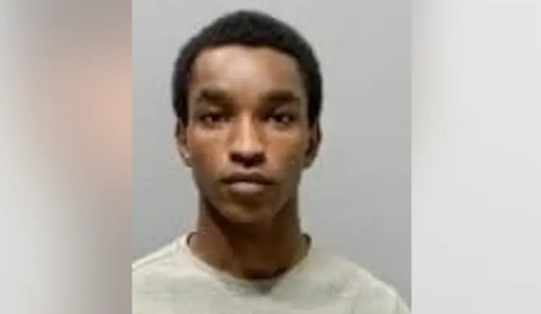 Detroit Man Enters Guilty but Mentally Ill Plea in 2022 Shooting Spree, Faces 28 to 50 Years' Sentence