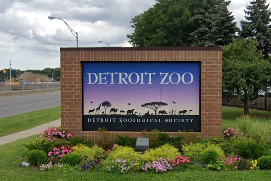 Detroit Zoo and Belle Isle Nature Center Shut Due to Arctic Chill in Southeast Michigan