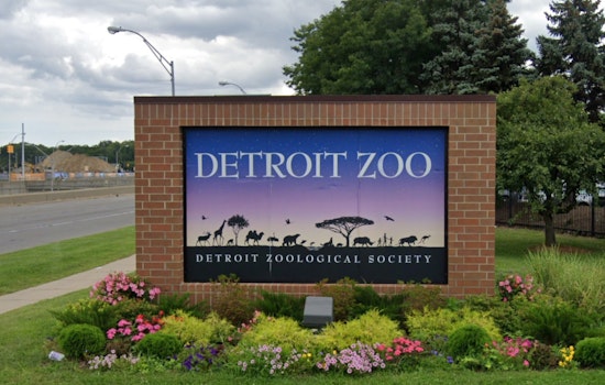 Detroit Zoo and Belle Isle Nature Center Shut Due to Arctic Chill in Southeast Michigan