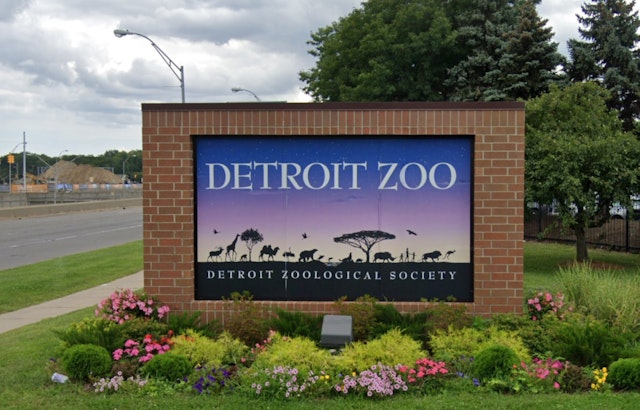 Detroit Zoo and Belle Isle Nature Center Shut Due to Arctic Chill in Southeast Michigan